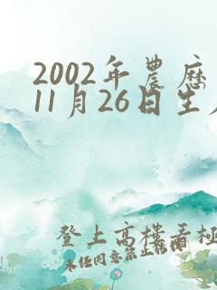 2002年农历11月26日生辰八字