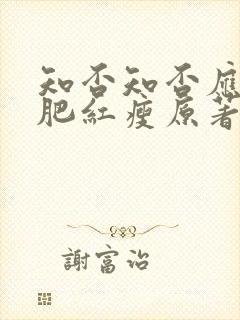 知否知否应是绿肥红瘦原著小说名