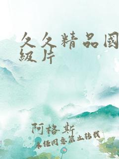 久久精品国产一级片