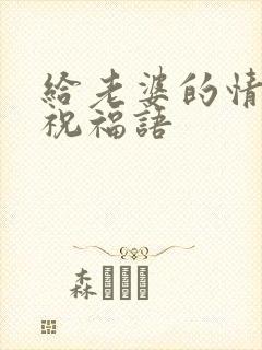 给老婆的情人节祝福语