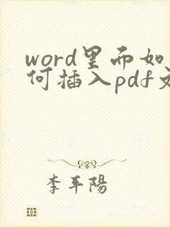 word里面如何插入pdf文件
