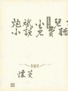 炮斌小苮儿有声小说免费听书