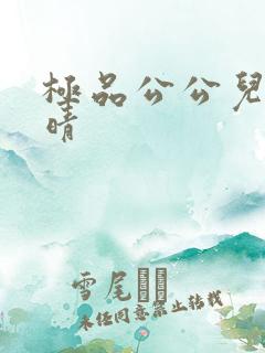 极品公公儿媳苏晴