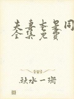 夫妻本是同林鸟全集免费