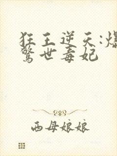 狂王逆天:爆宠惊世毒妃