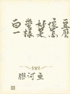 白带好像豆腐渣一样是怎么回事