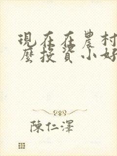 现在在农村养什么投资小好赚钱