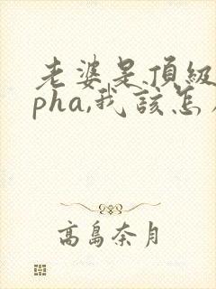 老婆是顶级alpha,我该怎么办笔趣阁