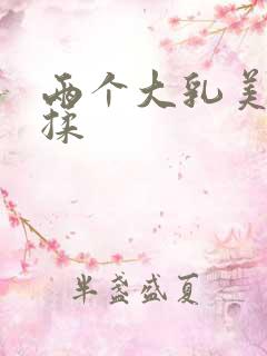 两个大乳美女互揉