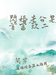 闪婚老公是千亿首富 玖二