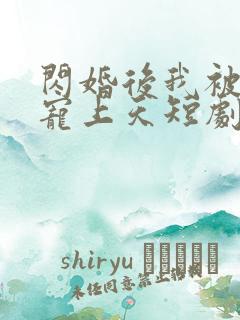 闪婚后我被总裁宠上天短剧免费