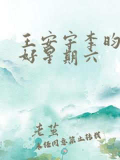 王安宇李昀锐你好星期六