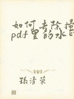 如何去除扫描王pdf里的水印