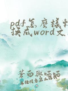 pdf怎么样转换成word文档