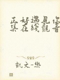 正好遇见你36集在线观看免费完整版