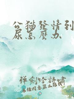 公猫发情到处乱尿怎么办
