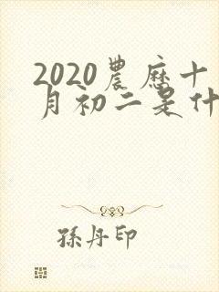 2020农历十月初二是什么命