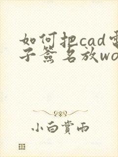 如何把cad电子签名放word里面
