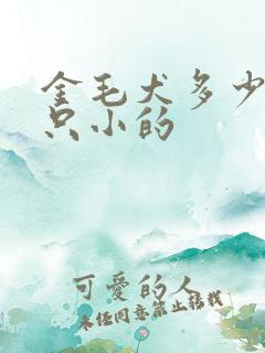 金毛犬多少钱一只小的