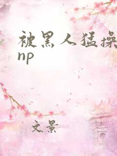 被黑人猛操高潮np