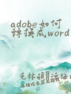 adobe如何转换成word