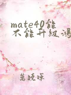 mate40能不能升级鸿蒙5.0