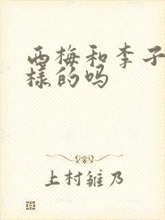 西梅和李子是一样的吗