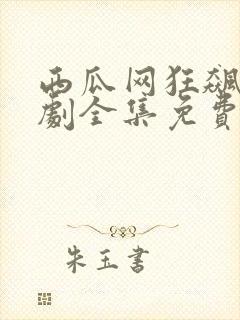 西瓜网狂飙电视剧全集免费播放