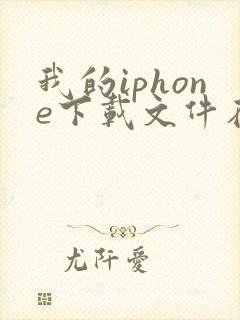 我的iphone下载文件在哪