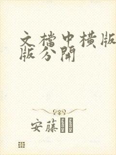 文档中横版和竖版分开