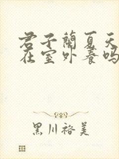 君子兰夏天可以在室外养吗