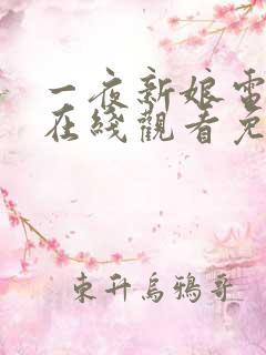 一夜新娘电视剧在线观看免费