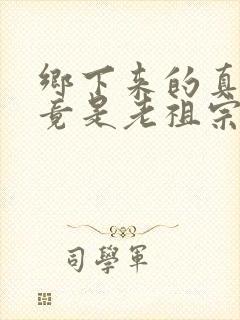 乡下来的真千金竟是老祖宗小说