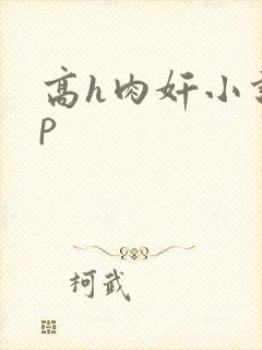 高h肉奸小说np
