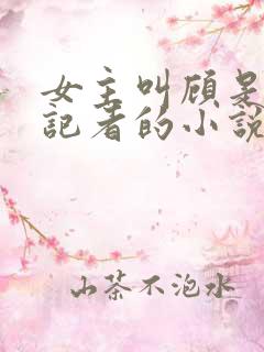 女主叫顾是一个记者的小说