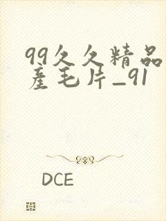 99久久精品国产毛片_91