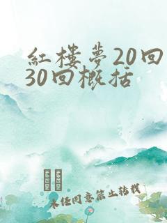 红楼梦20回到30回概括