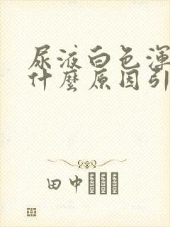尿液白色浑浊是什么原因引起的