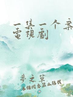 一集一个案子的电视剧