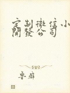 定制微信小程序开发公司