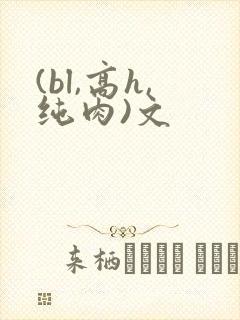 (bl,高h,纯肉)文