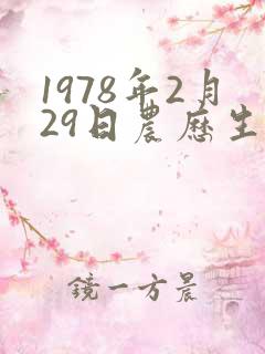 1978年2月29日农历生辰八字