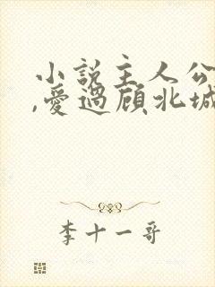 小说主人公听闻,爱过顾北城免费阅读