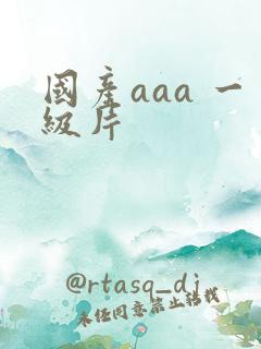 国产aaa 一级片