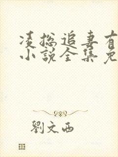 凌总追妻有点甜小说全集免费阅读