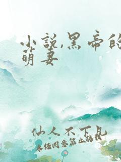 小说,黑帝的呆萌妻