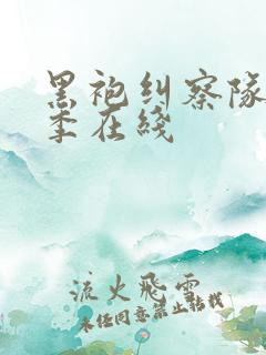 黑袍纠察队第四季在线