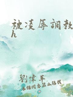 被凌辱调教小说h