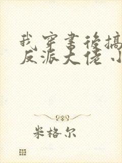 我穿书后搞到了反派大佬 小说