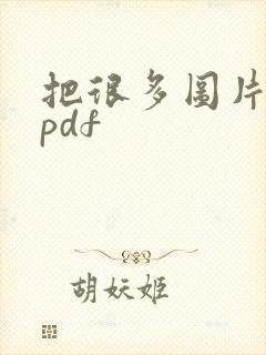 把很多图片转成pdf